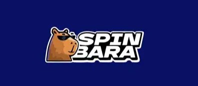 SpinBara Logo